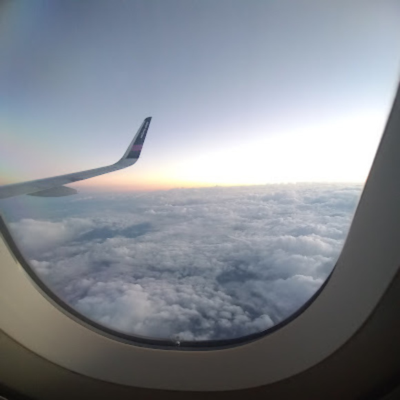 Meet your Posher, Adolfo - Picture 1 of 1